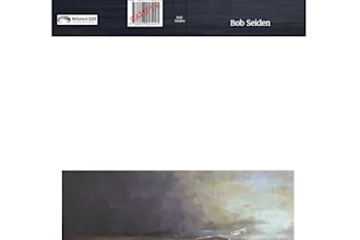 do novel book cover and concept art