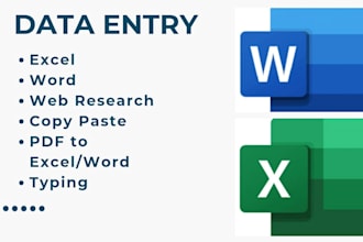 do professional amazon product research and data entry in excel