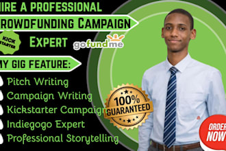 write and design your gofundme, kickstarter or indiegogo campaign pitch