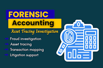 do forensic accounting, fraud investigation, asset tracing, litigation support