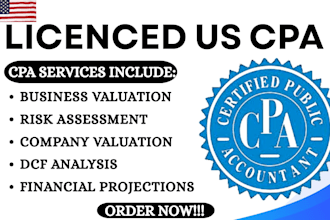 provide business valuation financial projections dcf analysis risk assessment