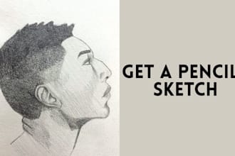 draw you a pencil or pen sketch portrait from your photo