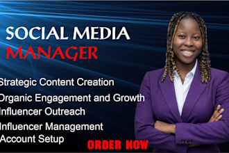 be your virtual assistant, social media manager, canva designer and admin