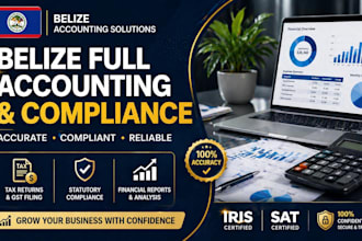 do belize bookkeeping business tax bts returns payroll and ifrs compliance