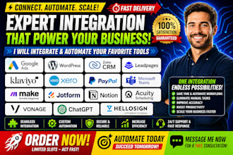integrate google ads wordpress zoho CRM leadpages klaviyo xero paypal teams make
