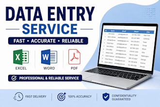 do fast and accurate data entry in excel or word