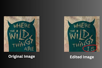 edit text within the picture