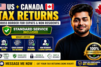 prepare US and canada cross border tax returns for non residents and expats