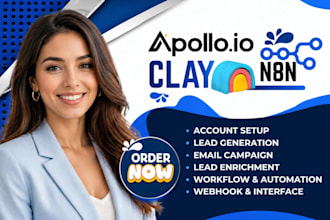 build your apollo sequences, clay com workflows, and hubspot CRM automation