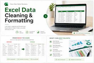 clean, organize and format your excel spreadsheet