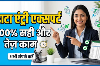 professional data entry  excel specialist accurate