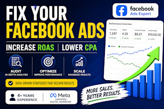 audit and optimize your facebook ads for better roas and CPA