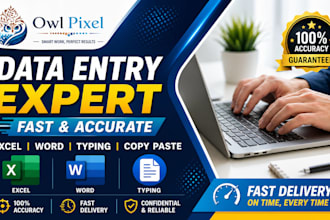 fast data entry, typing, PDF to word, excel work