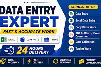 do data entry, copy paste, excel data entry and web research