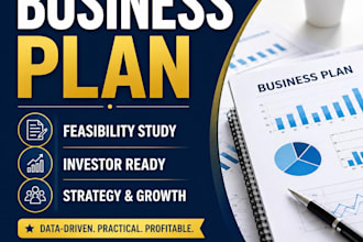 create a pro business plan, feasibility , and proposals