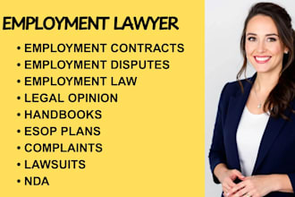 be your employment lawyer for harassment, wrongful termination, and handbooks