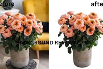 do professional background removal and photo editing