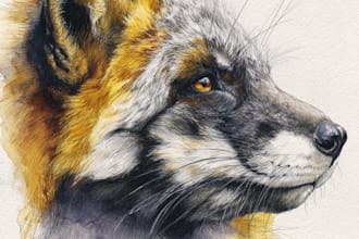 draw realistic animal illustration in watercolor