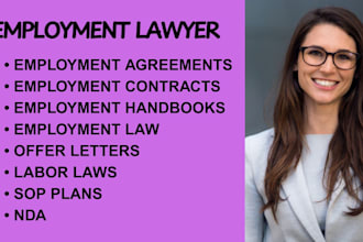 handle employment contracts,wrongful termination, and workplace harassment cases