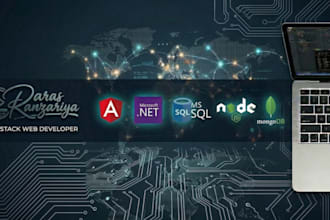 develop a professional angular and dotnet web application