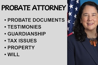 handle probate, guardianship, inheritance, property, and succession matters