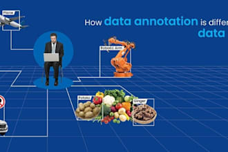 do accurate data labeling, data annotation and image tagging
