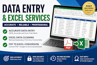 do data entry, data cleaning and PDF to excel tasks