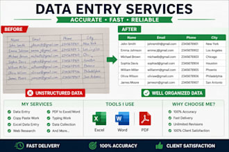 data entry, excel, and web research expert