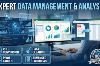 do data cleaning, data formatting and data analysis