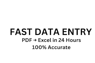 do fast data entry and excel work in 24 hours