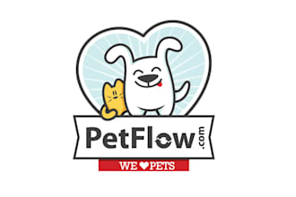 draw cute cartoon mascot design and animal logo