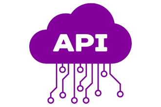 develop a professional  API with clean architecture