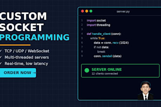 develop custom network protocols and socket communication systems