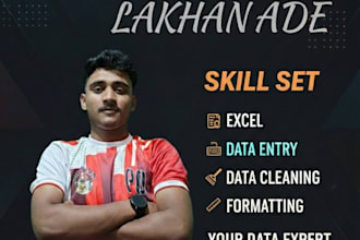 do data entry, data cleaning and excel data formatting