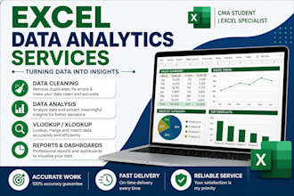 do accurate data entry excel spreadsheet work and ledger entry