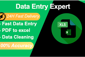 do accurate data entry excel data cleaning pdf to excel data