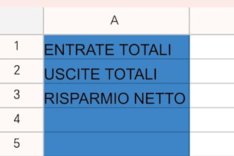 provide a professional automated budget planner for google sheets