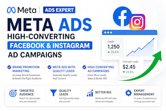 run facebook instagram ads for leads gen and brand promotion