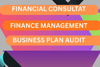 do financial consultation, finance audit