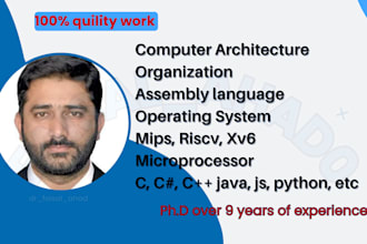 do computer architecture, assembly, organization and operating system