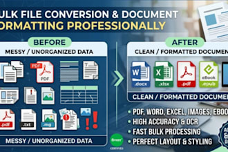 do bulk file conversion and document formatting professionally