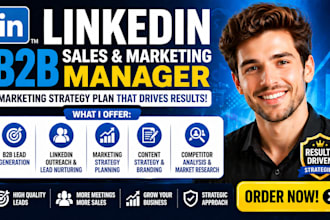 be your linkedin b2b sales and marketing manager with marketing strategy plan