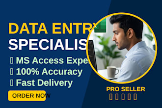 do professional python data cleaning and excel automation