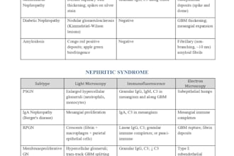 write medical articles, notes, and mcqs for mbbs and healthcare