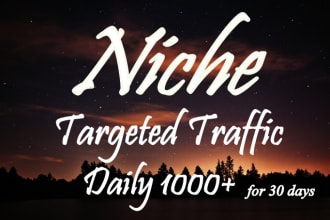 drive niche targeted ,website,traffic,visitors