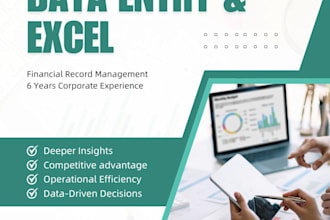 do professional data entry and excel financial record management