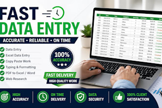 do accurate data entry and excel spreadsheet work