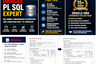 develop and optimize oracle pl sql package procedures queries