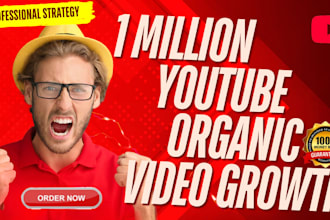 promote youtube video SEO promotion to gain 1 million views organically