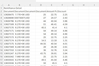 do accounting and data entry in excel accurately
